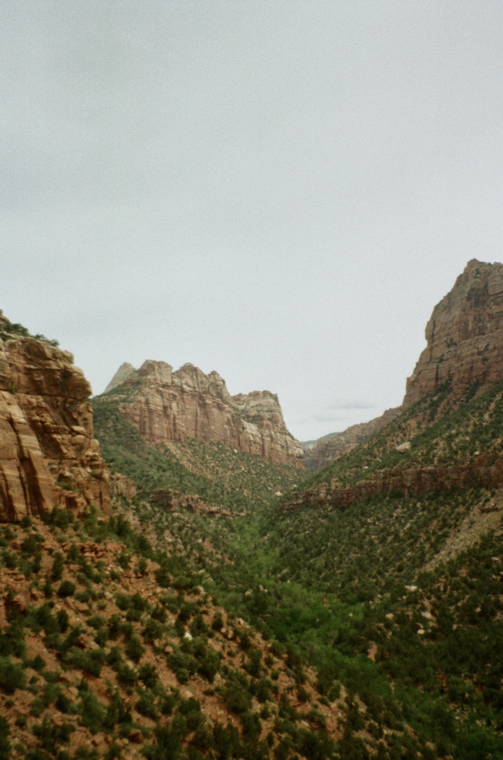 Photograph 06